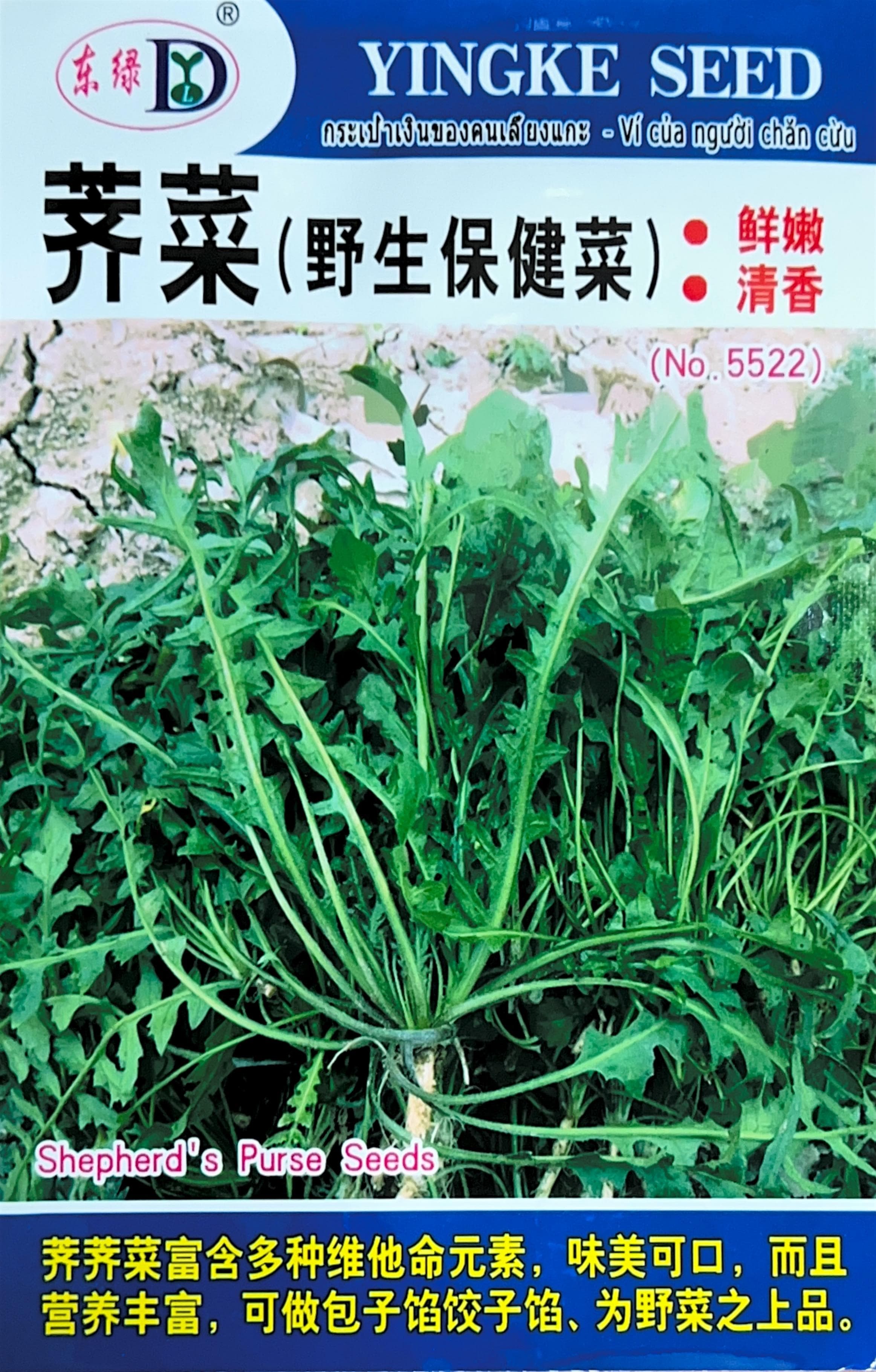 荠菜(野生保健菜) Shepherd'S Purse Seeds
