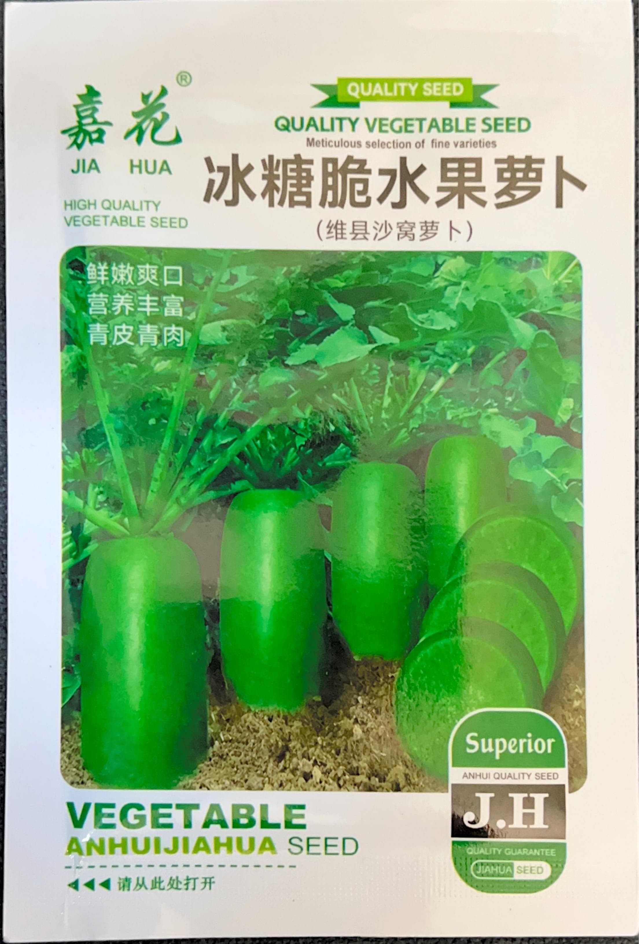 (维县沙窝萝卜) Radish Seeds front