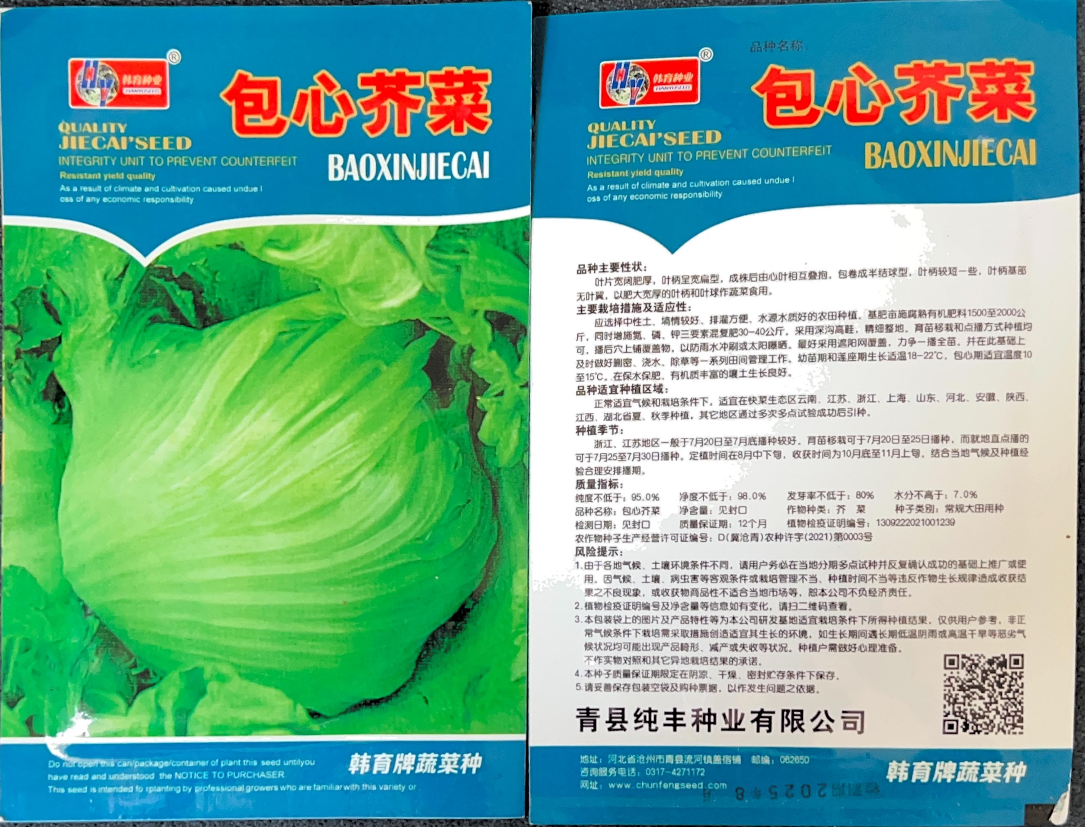 包心芥菜 Mustard Greens Seeds