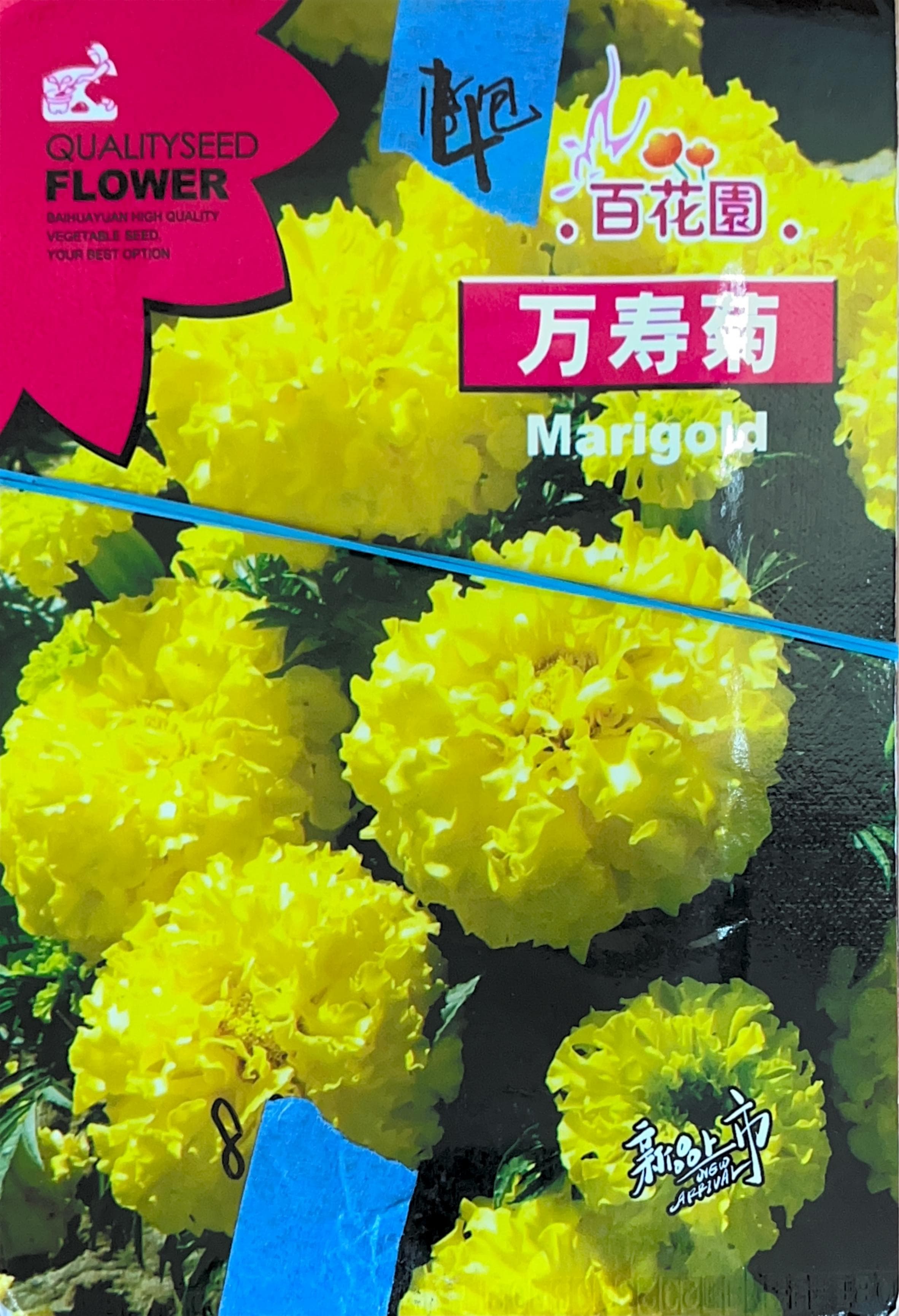 百花園 Misc Seeds