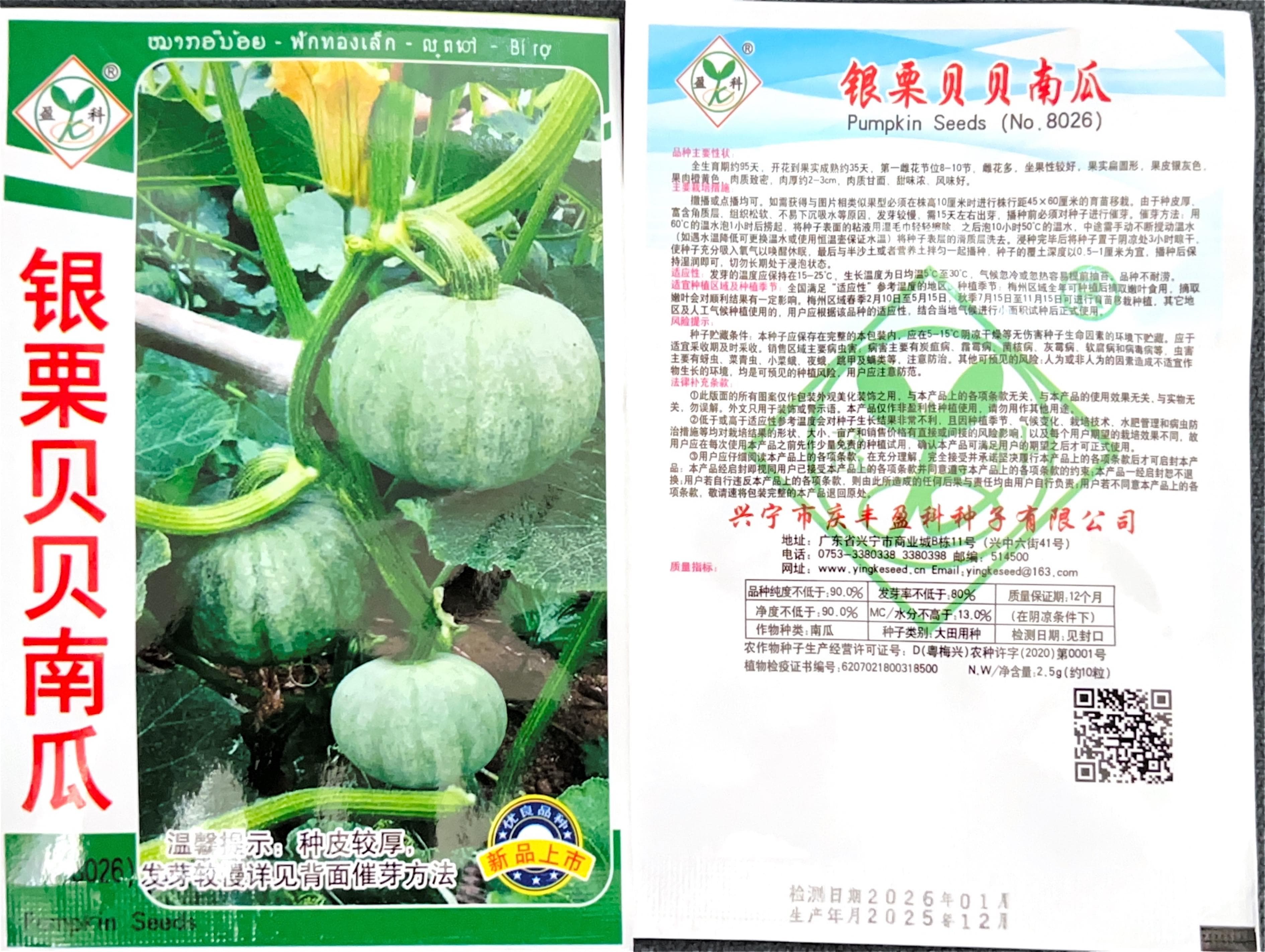 银栗贝贝南瓜 Pumpkin Seeds