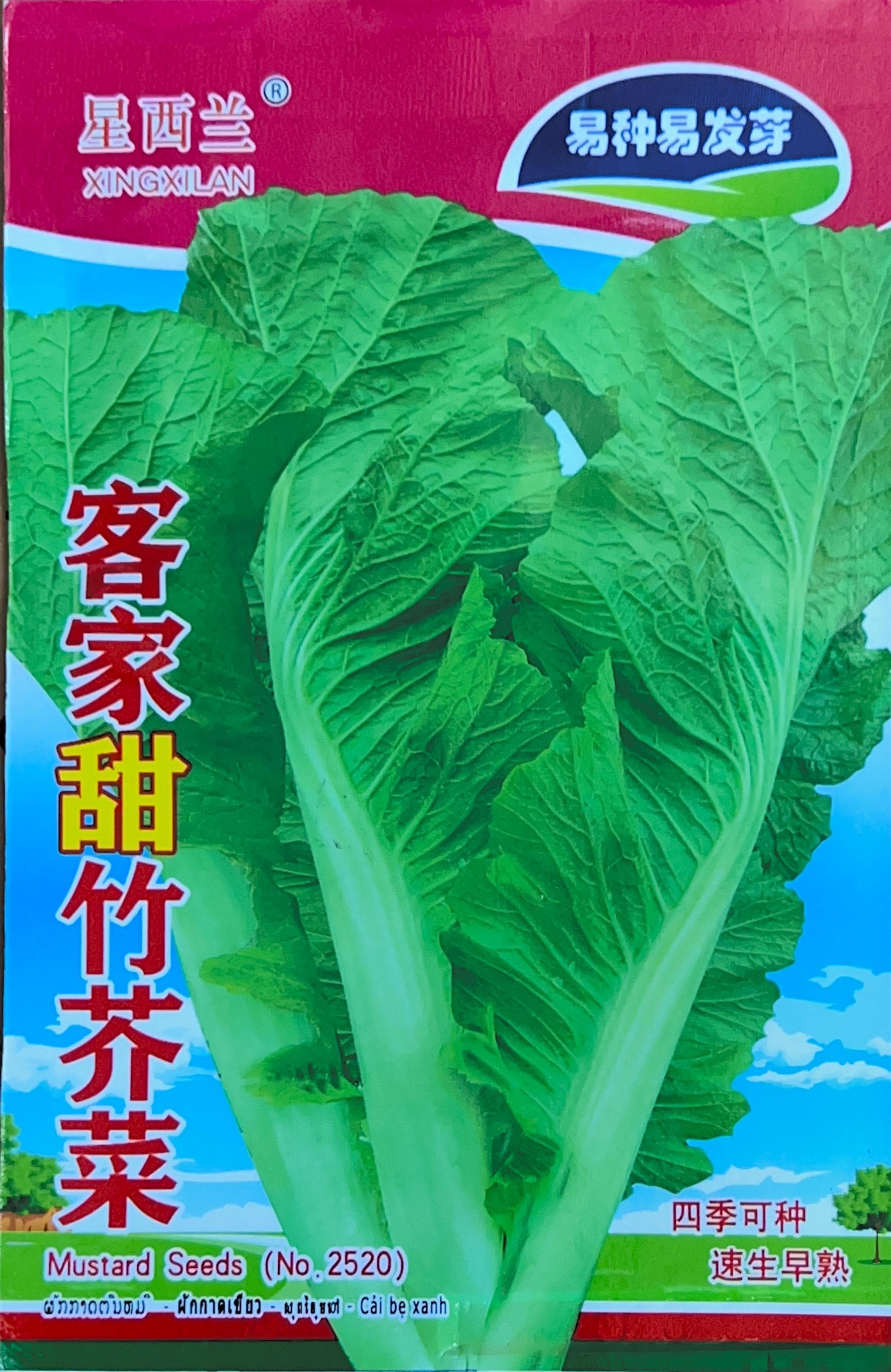 四季可 Misc Seeds