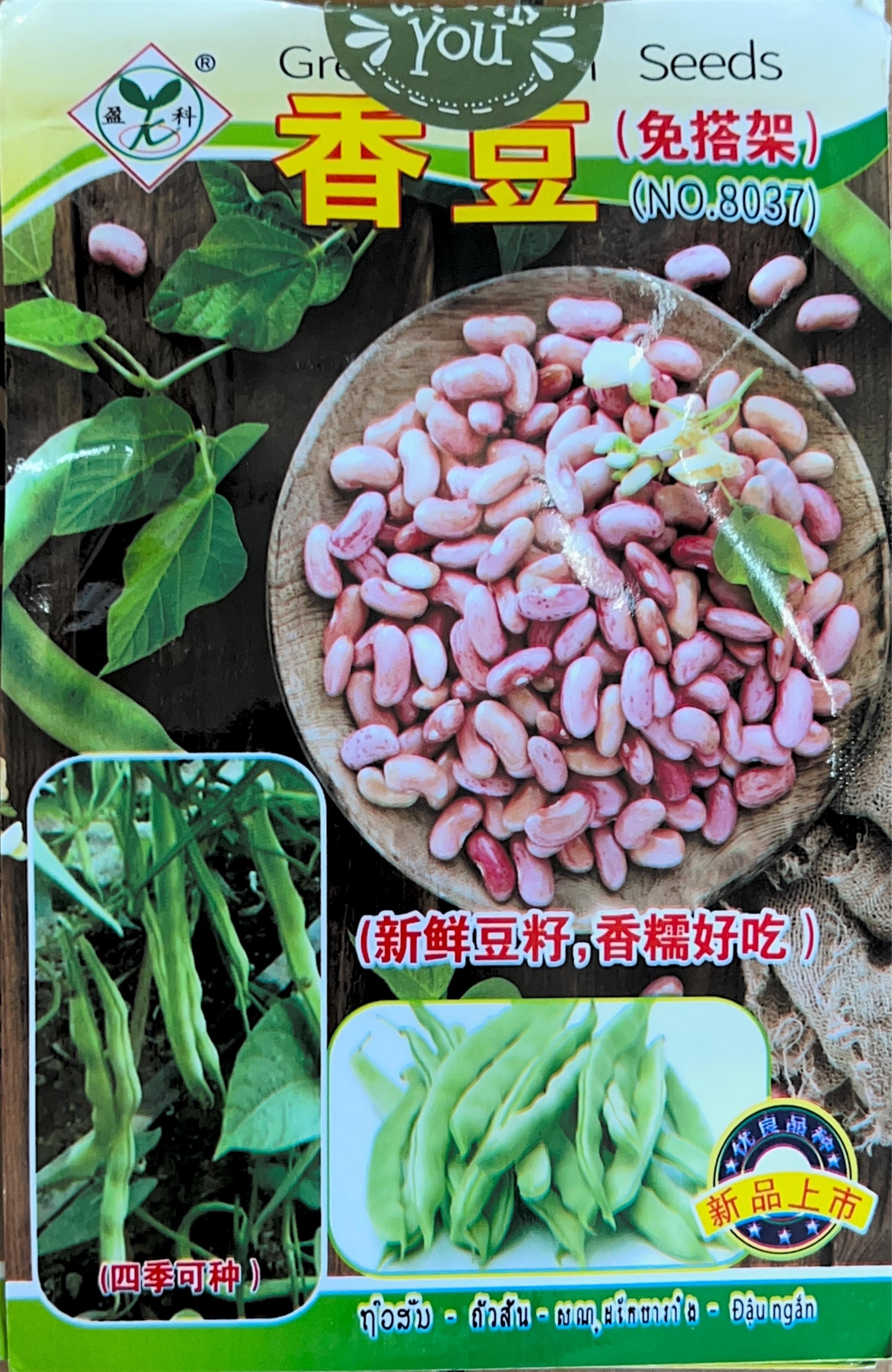 (新鲜豆 Bean Seeds