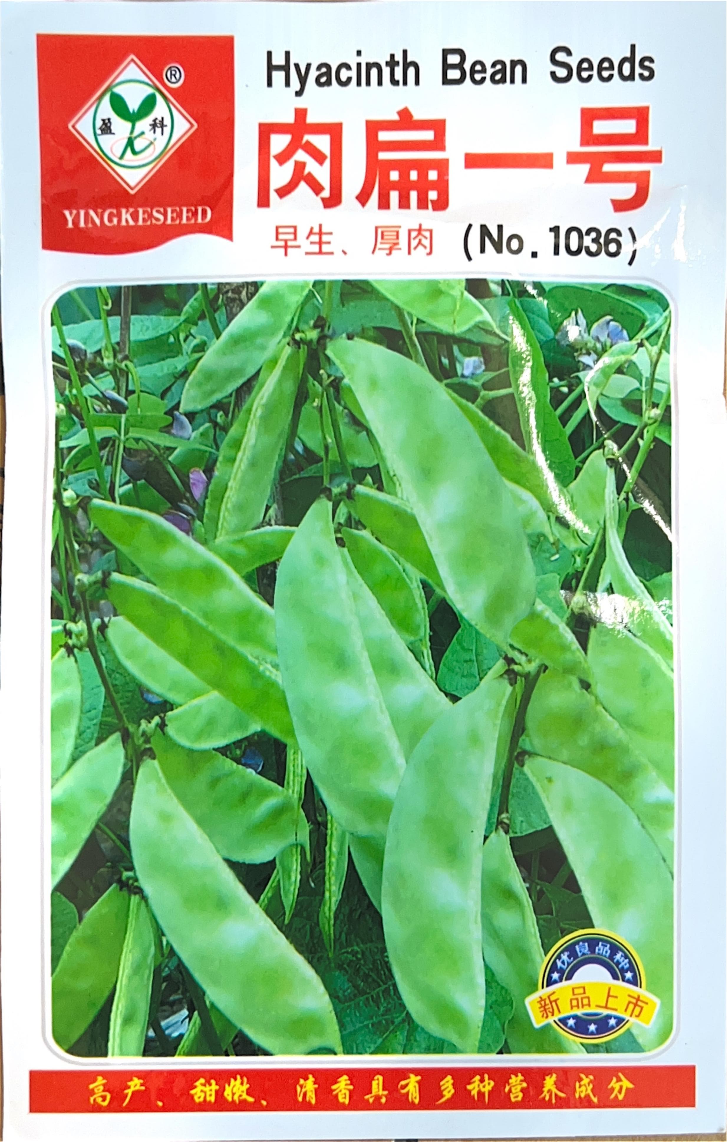 早生、厚肉 Misc Seeds