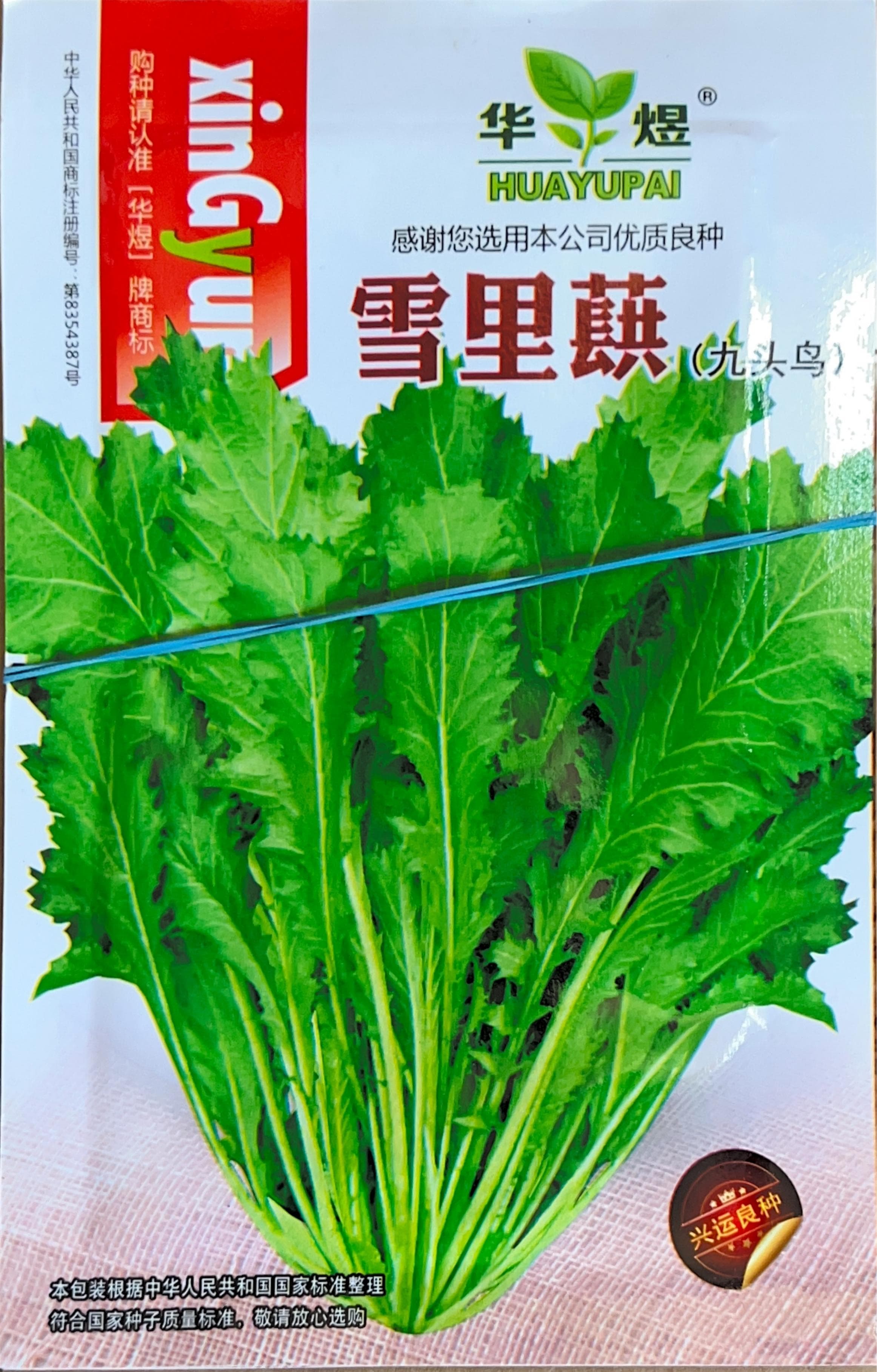 雪里蕻 Misc Seeds