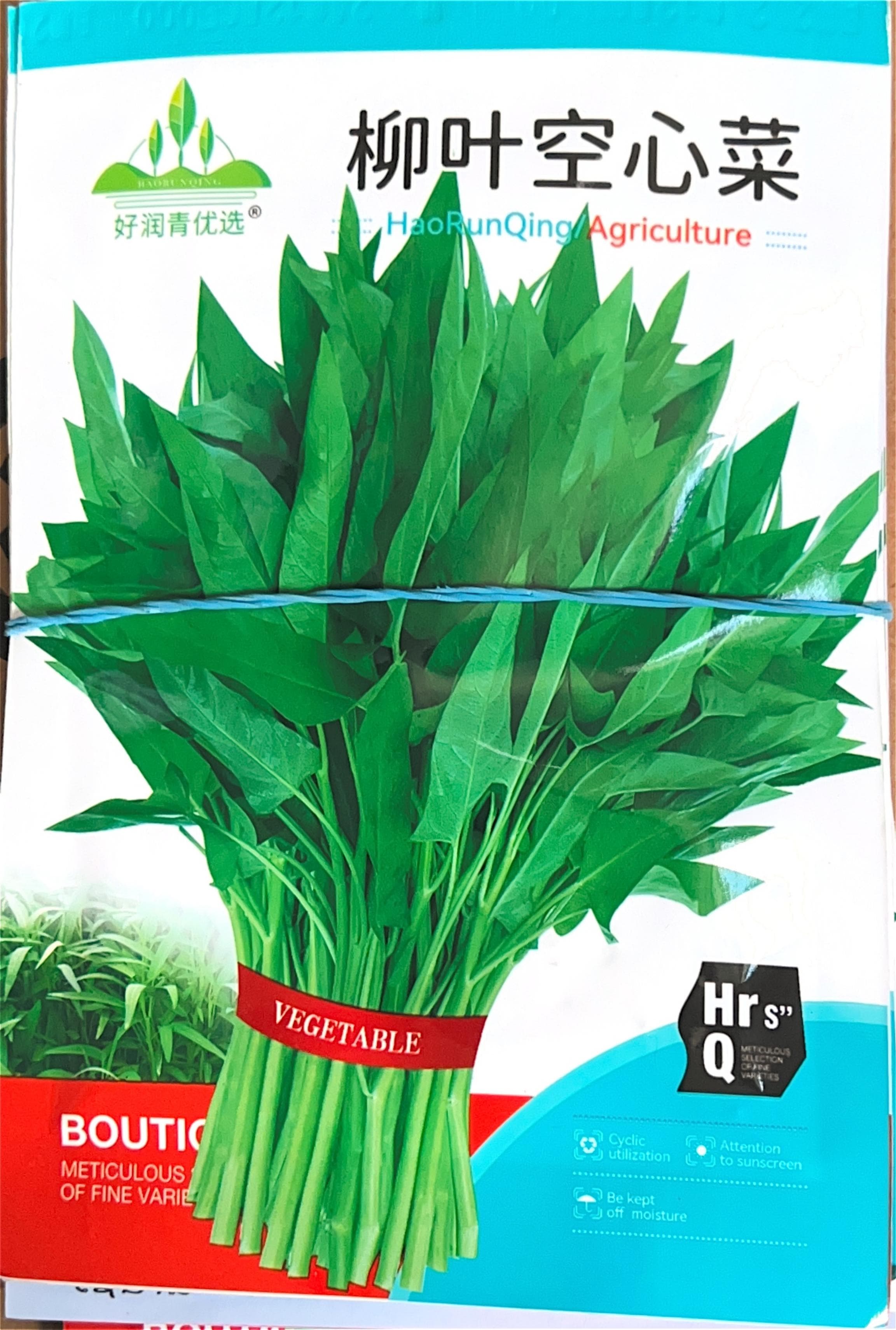 柳叶空心菜 Water Spinach Seeds