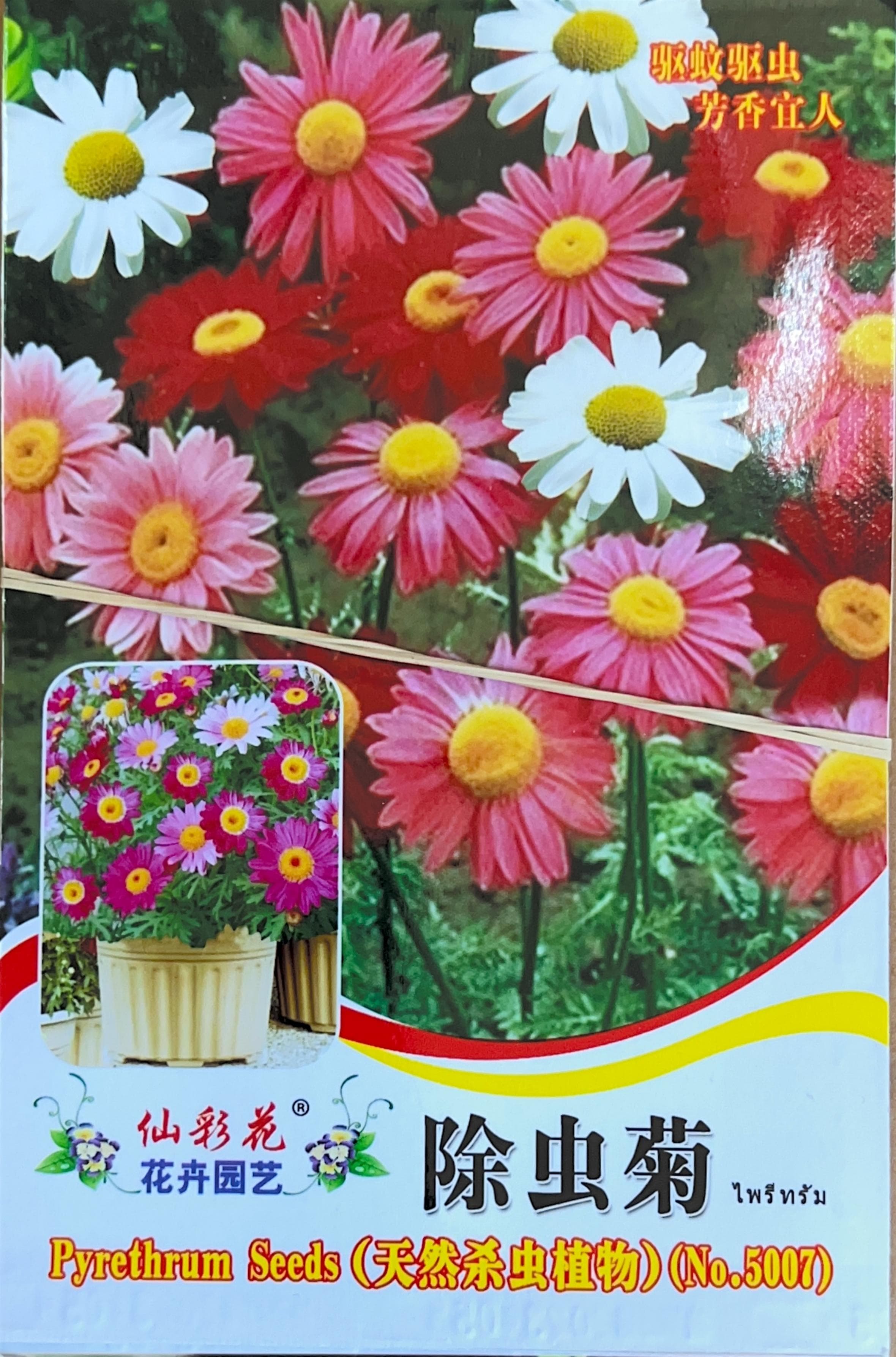 仙彩花② Misc Seeds