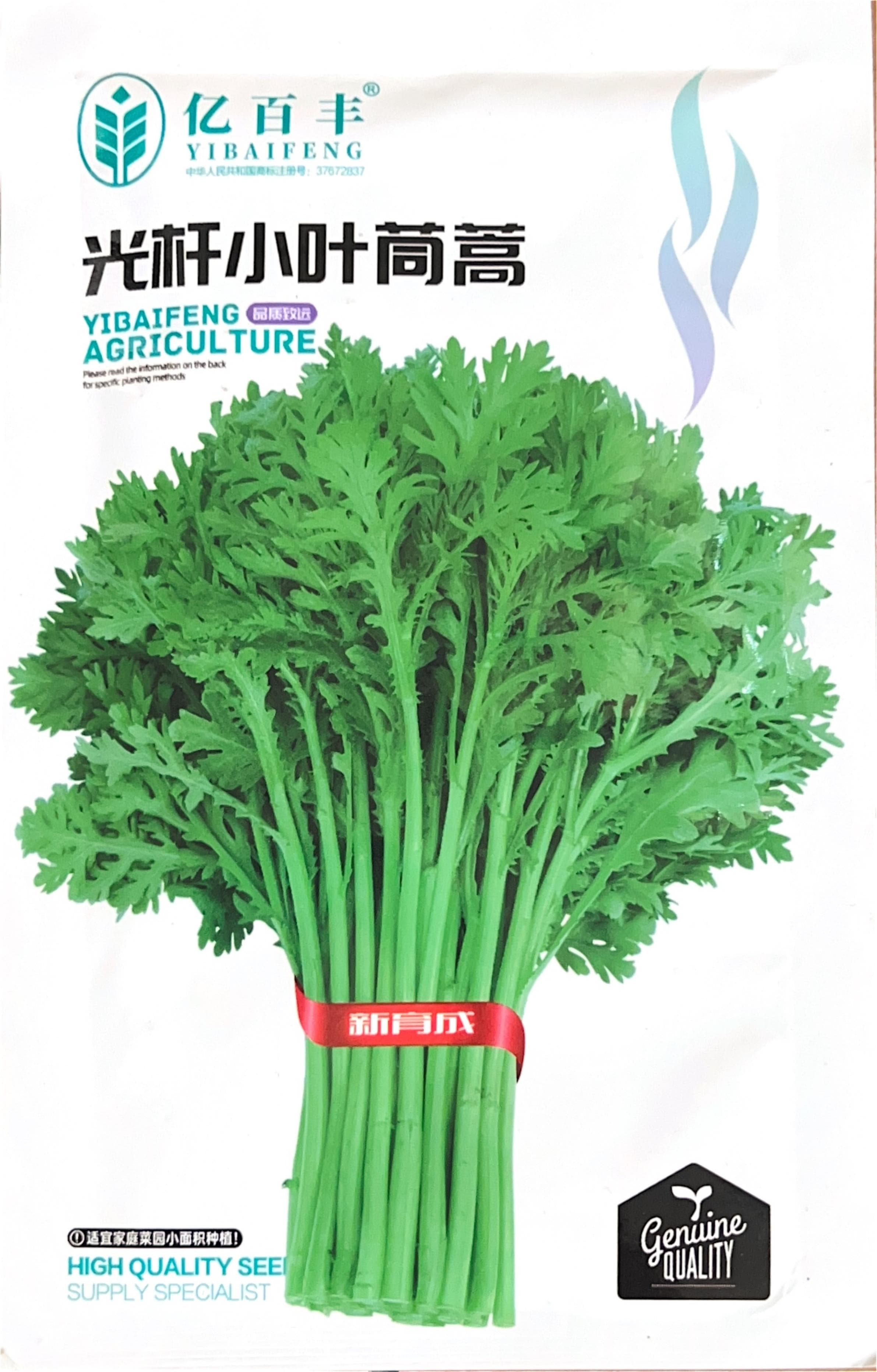 光杆小叶茼蒿 Garland Chrysanthemum Seeds