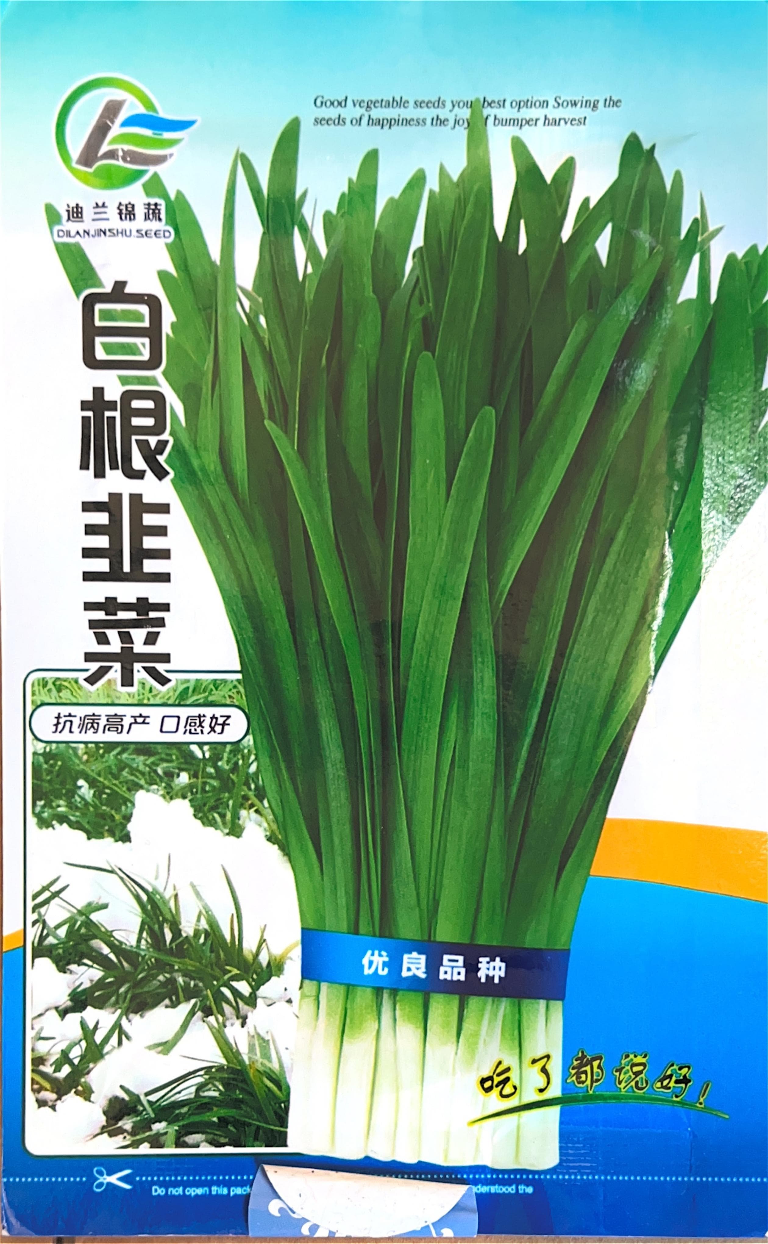 吃了都婉好 Misc Seeds