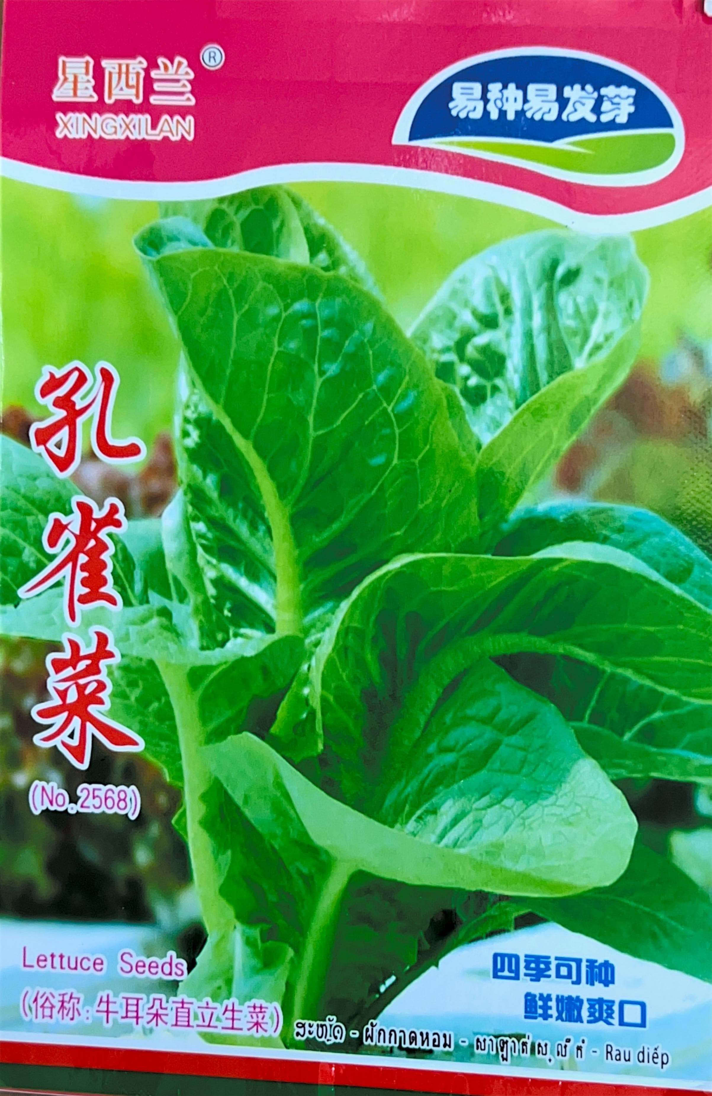 四季可 Misc Seeds