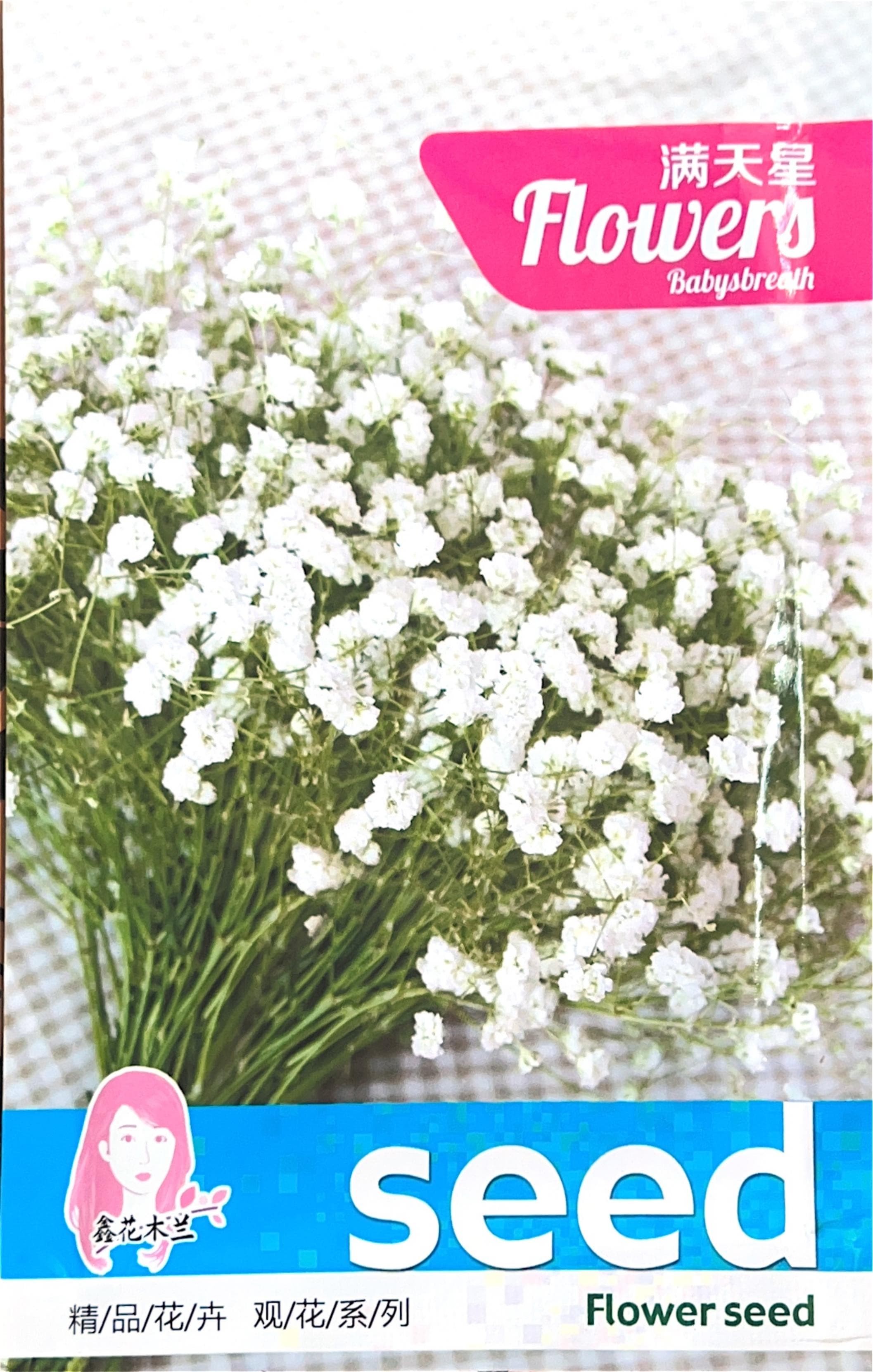 精/品/花/卉 观/花/系/列 Misc Seeds